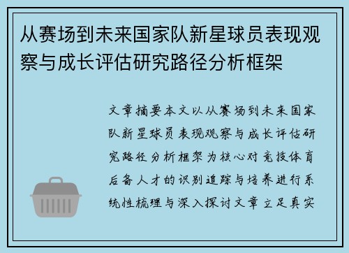 从赛场到未来国家队新星球员表现观察与成长评估研究路径分析框架